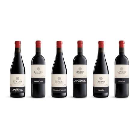 Viñedos de Lindes Remelluri 