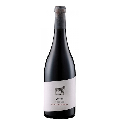 Aylés Cuesta del Herrero