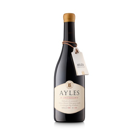 Aylés Pago 25 Aniversario